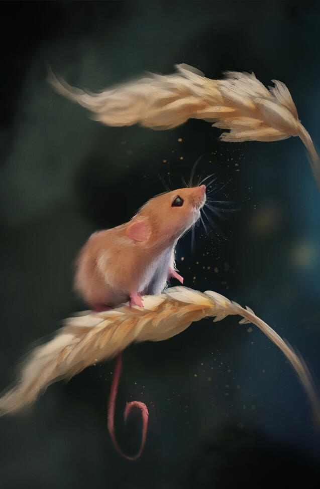 Looking for a Snack
