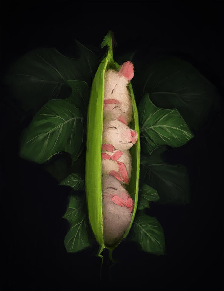 Mice in a Pod
